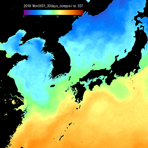 NOAA Sea Surface Temperature 이미지