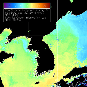 NPP SeaDAS Sea Surface Temperature 이미지